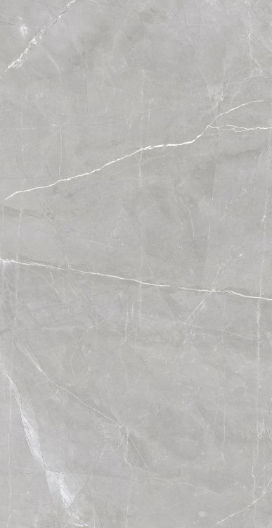 Luxury Amani Grey Matte 24 x 48